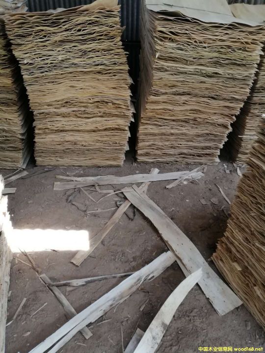 �S�h�΅R�S��ľƤ