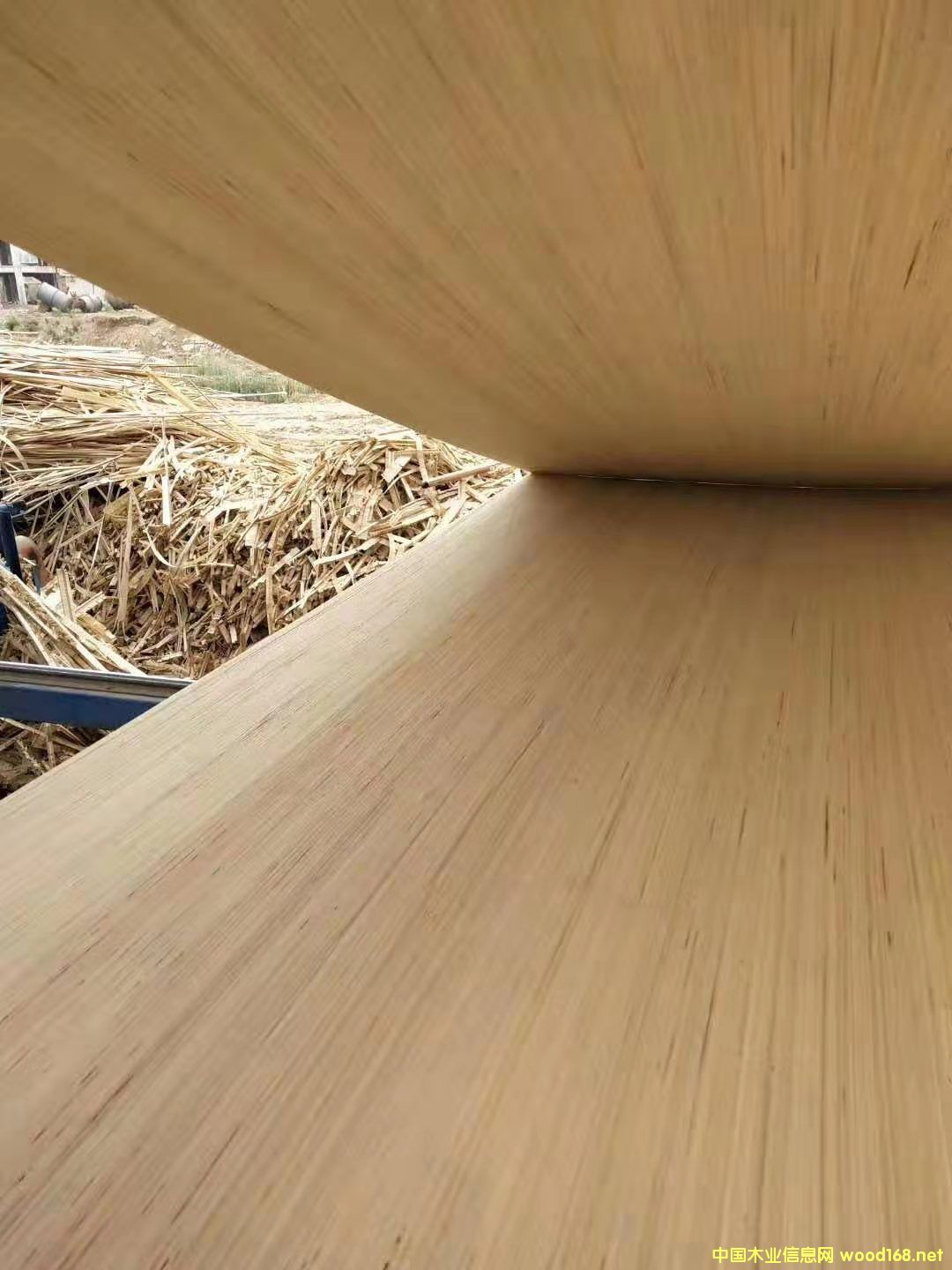 的詳細(xì)介紹