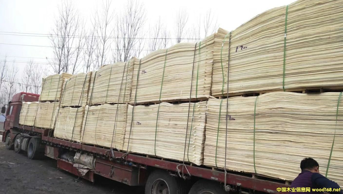 Ư��Ƥ��Ԕ����B