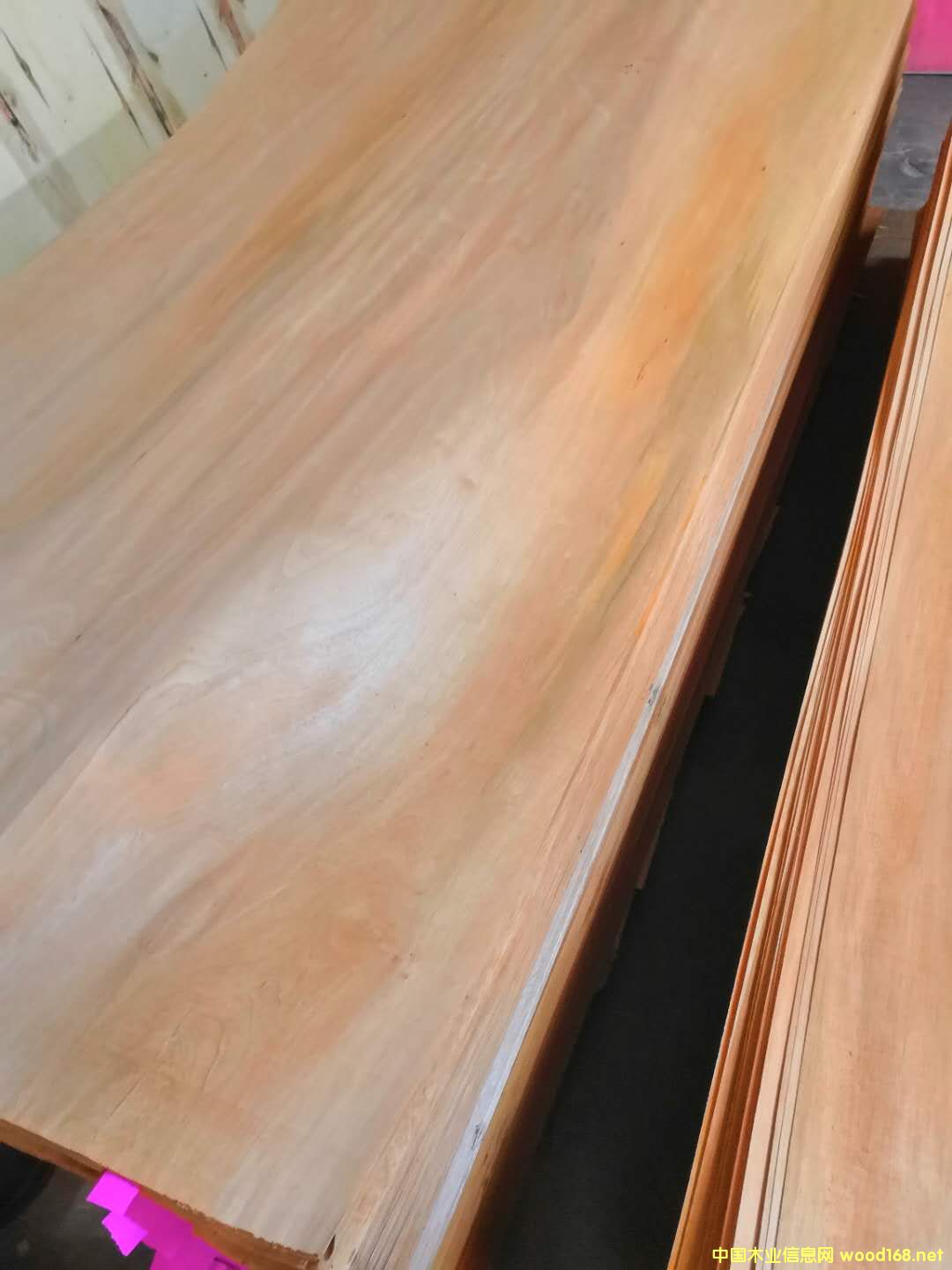 �sľ��Ƥ��Ԕ��(x��)��B