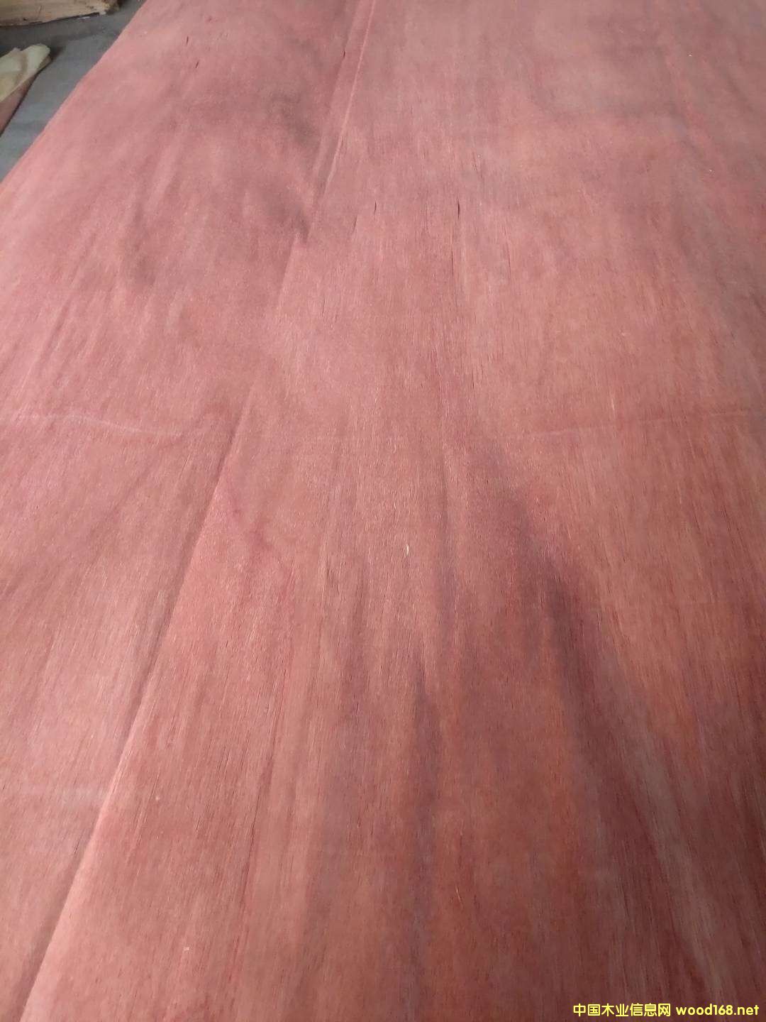 �sľ��Ƥ��Ԕ��(x��)��B