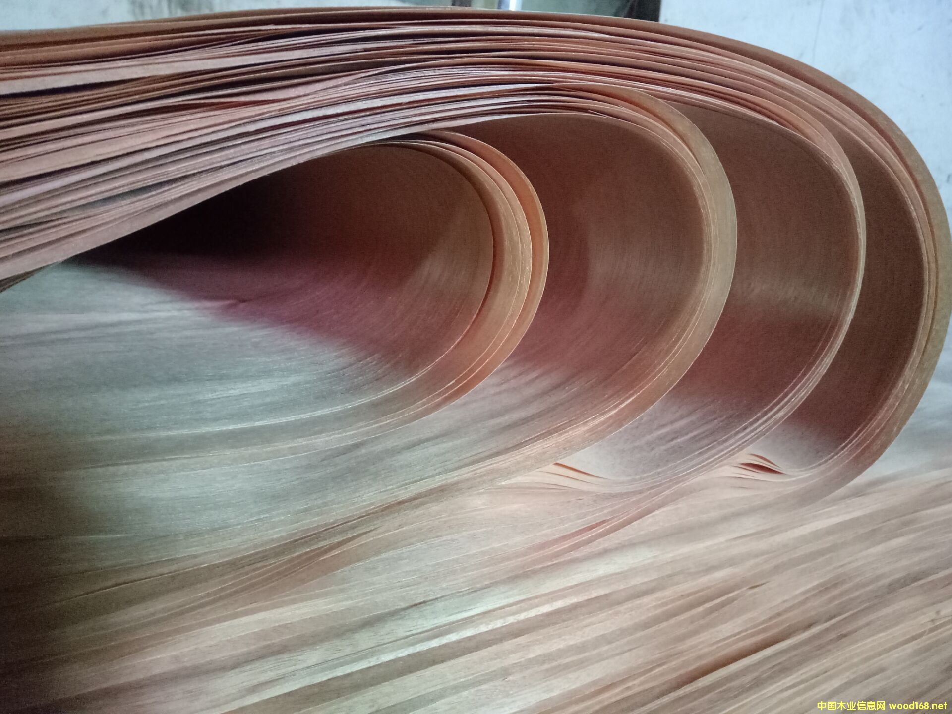 �һ�о��Ƥ��Ԕ��(x��)��B