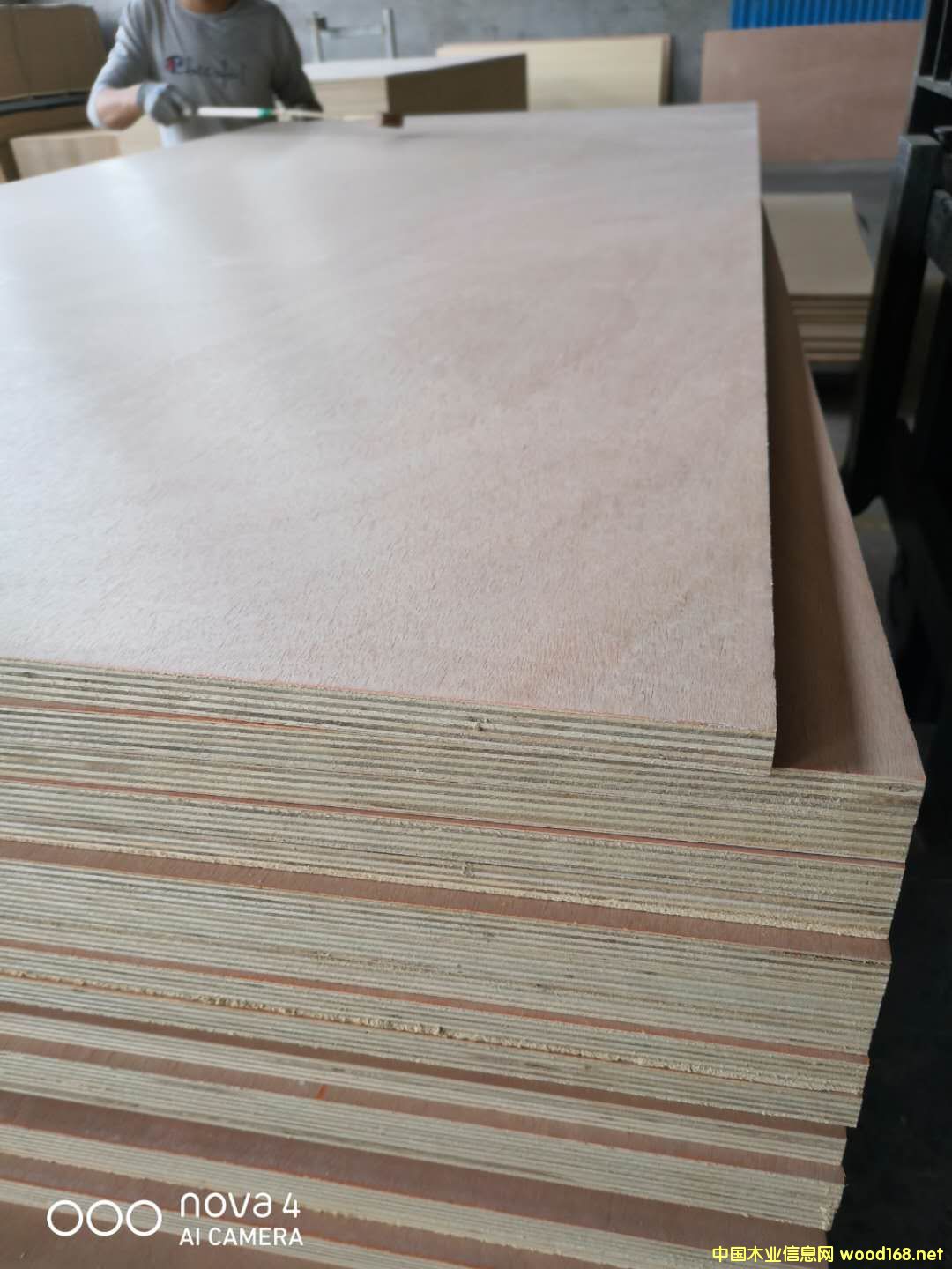  ��Ԕ����B