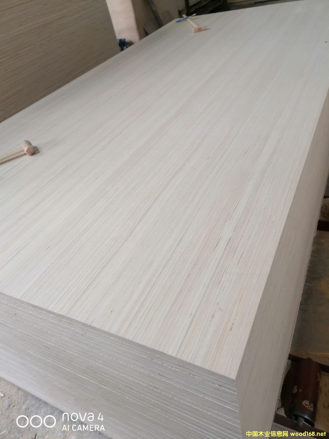  ��Ԕ����B