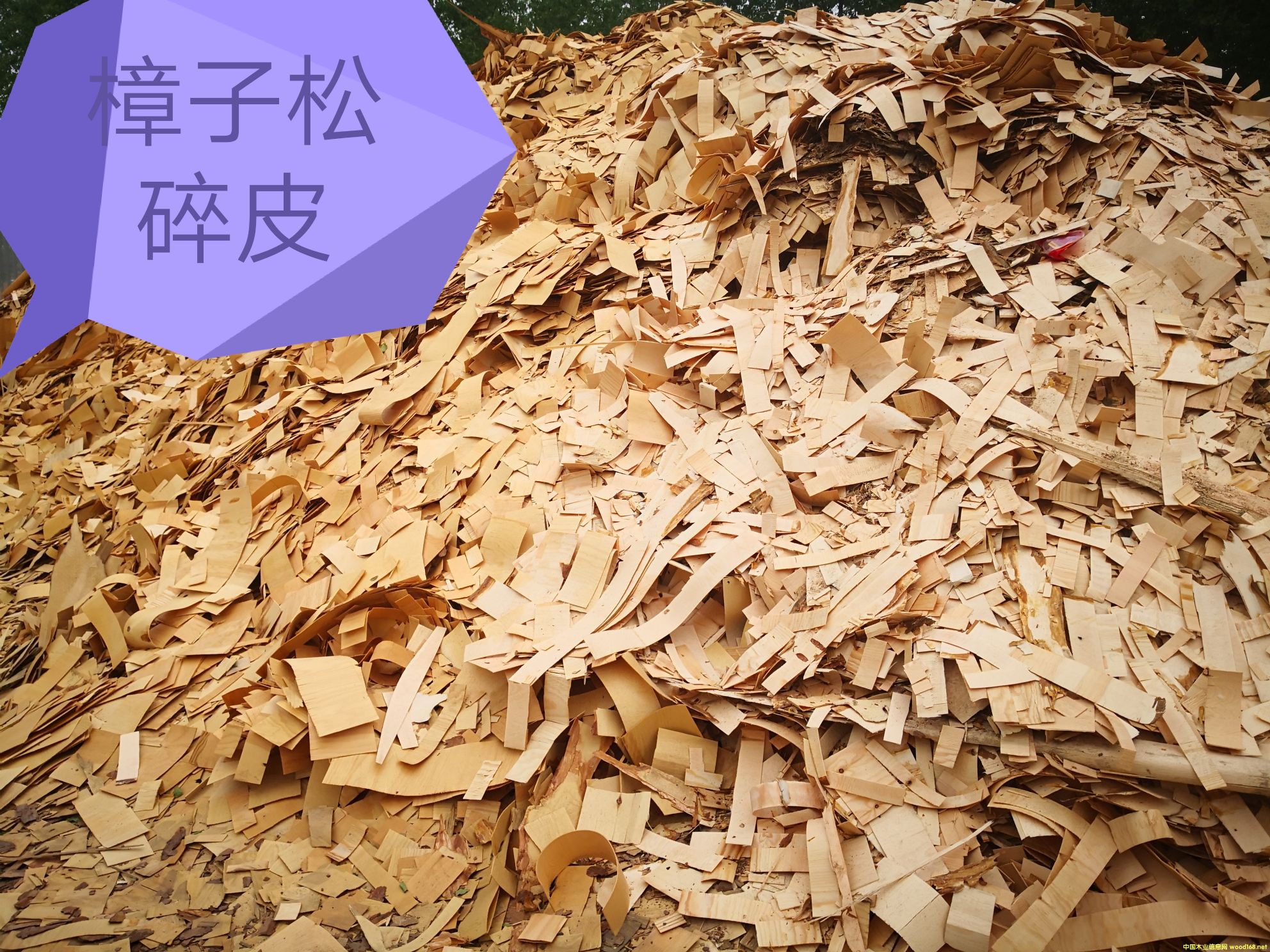 ��������Ƥ