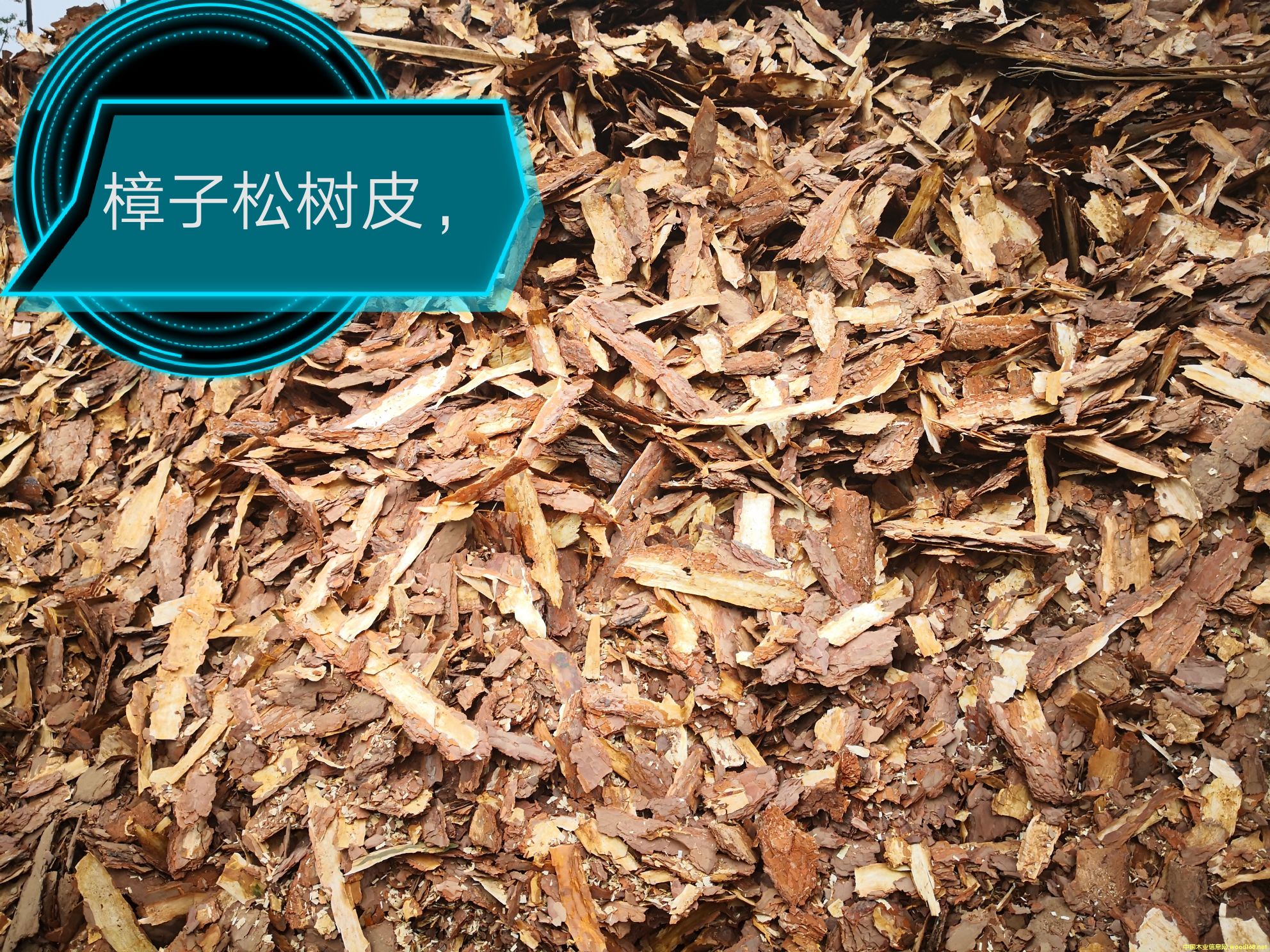 �����ɘ�Ƥ