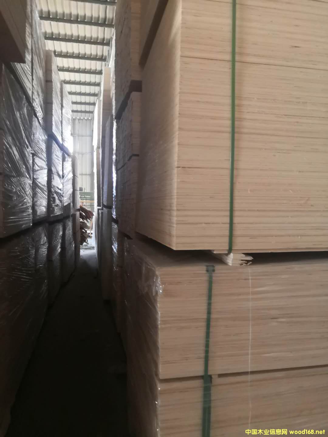 的詳細(xì)介紹