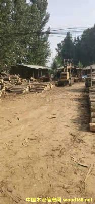 ��ľƤ�ӵ�Ԕ��(x��)��B