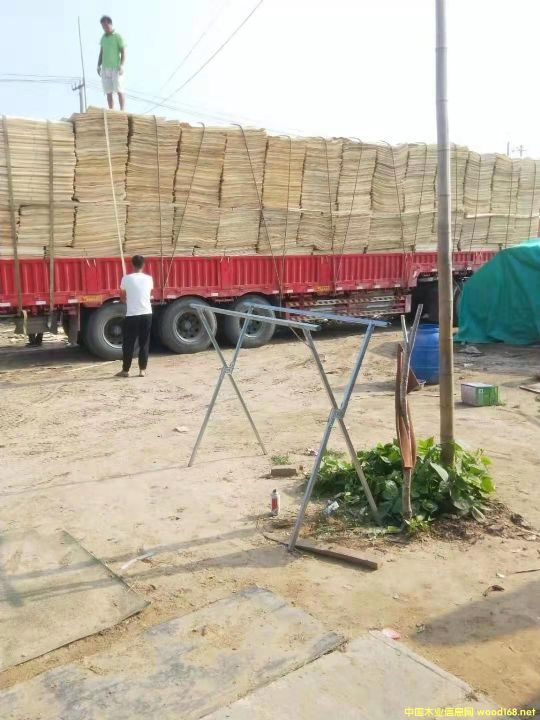 ��ľƤ�ӵ�Ԕ��(x��)��B