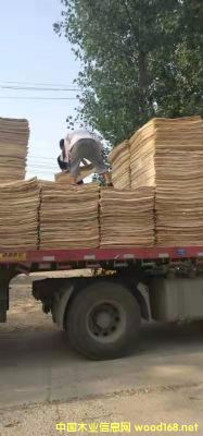 ��ľƤ�ӵ�Ԕ��(x��)��B