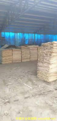 ��ľƤ�ӵ�Ԕ��(x��)��B