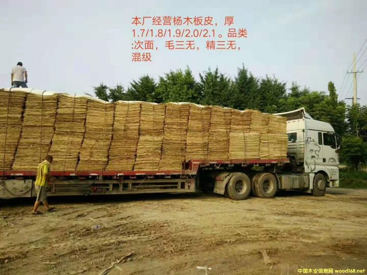 ��ľƤ�ӵ�Ԕ����B