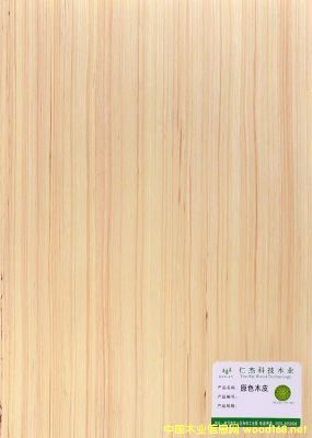 的詳細(xì)介紹