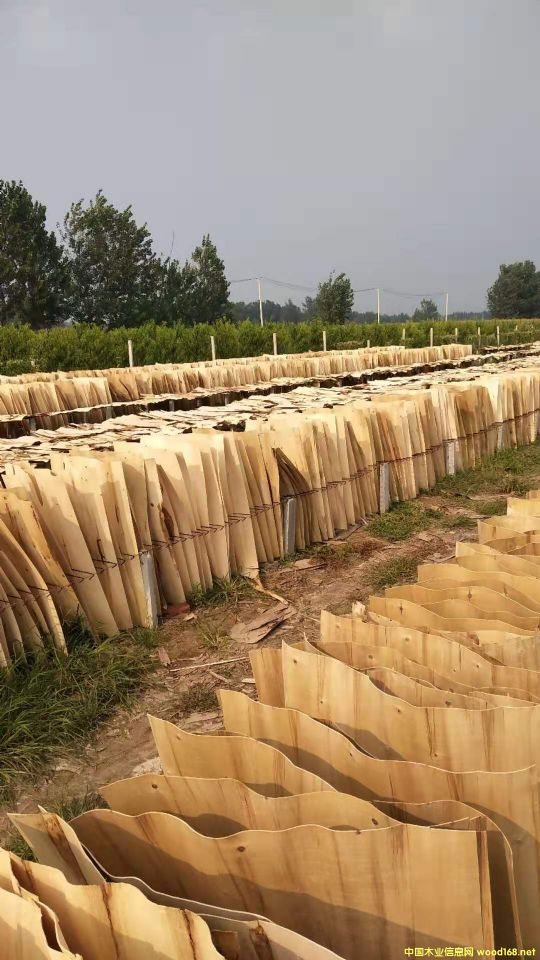  ��Ԕ��(x��)��B