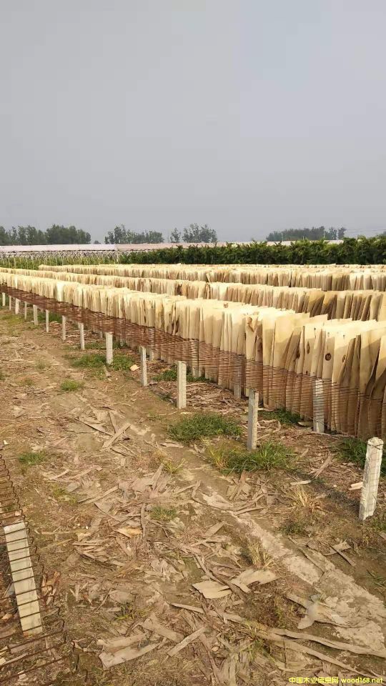  ��Ԕ��(x��)��B