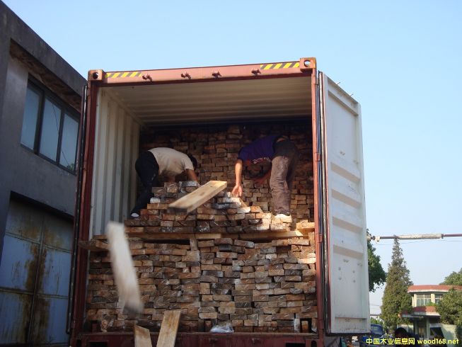 [��] ����(y��ng)�����ľ������R����ľ����albizia falcata