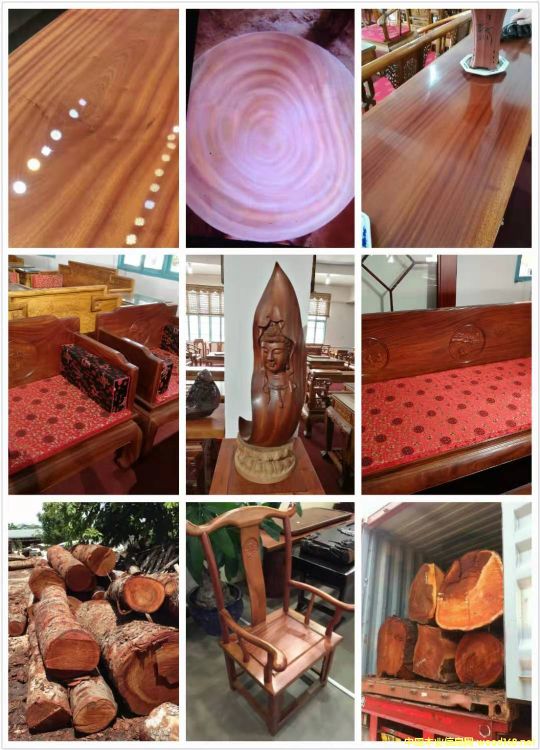 �һ��ľC��