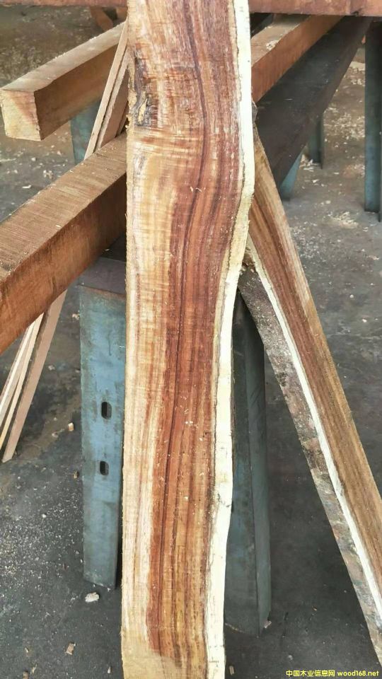 ���ڴ��~������