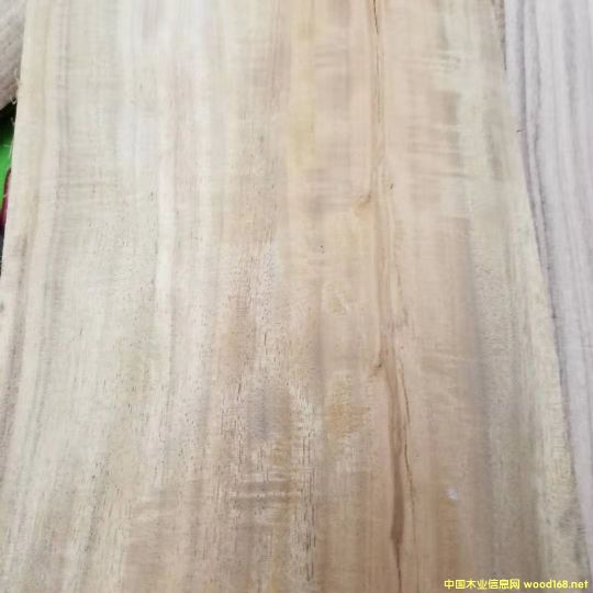 [��] ����(y��ng)�M(j��n)�ڴ��~��˼ľ��ACACIA����˼ľԭľ