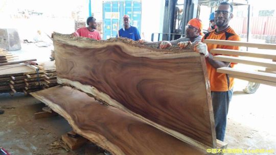 [��] ����(y��ng)�M����˼ľACACIA����ľ����Ϛgľ������˼ľ