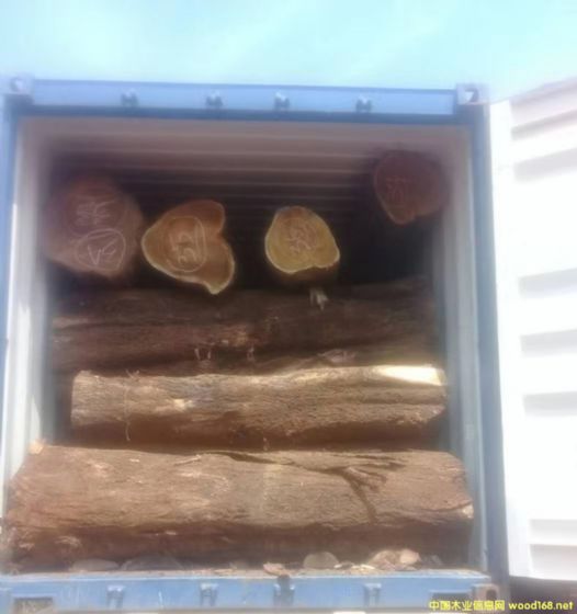 [��] �L�ڹ���(y��ng)���~��˼ľ�� ������ľ��ACACIA