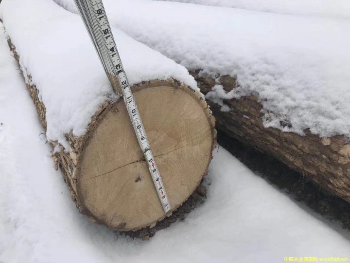 白蠟原木的詳細(xì)介紹