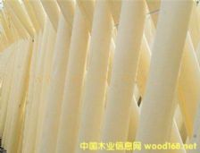  ��Ԕ��(x��)��B