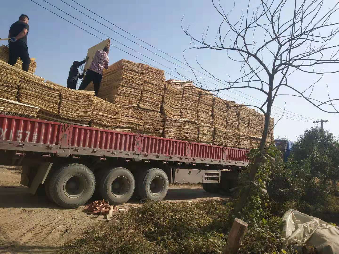  ��Ԕ��(x��)��B