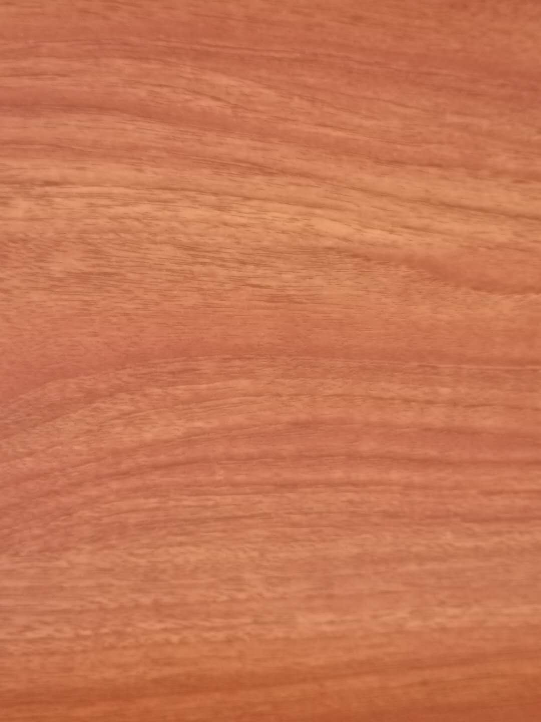 �����Ҿ����B(t��i)���