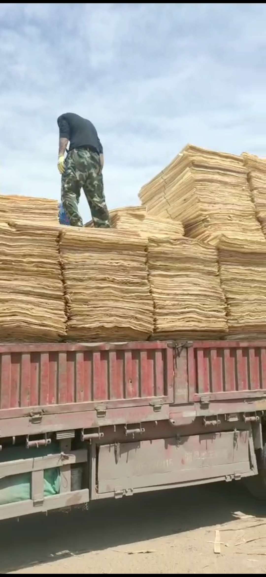 的詳細(xì)介紹