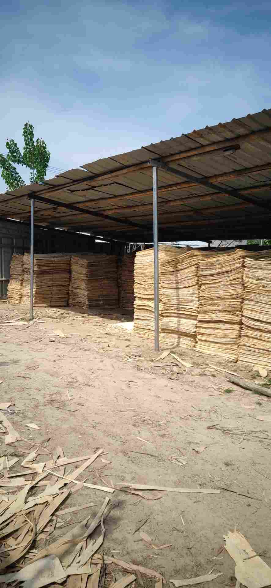 的詳細(xì)介紹