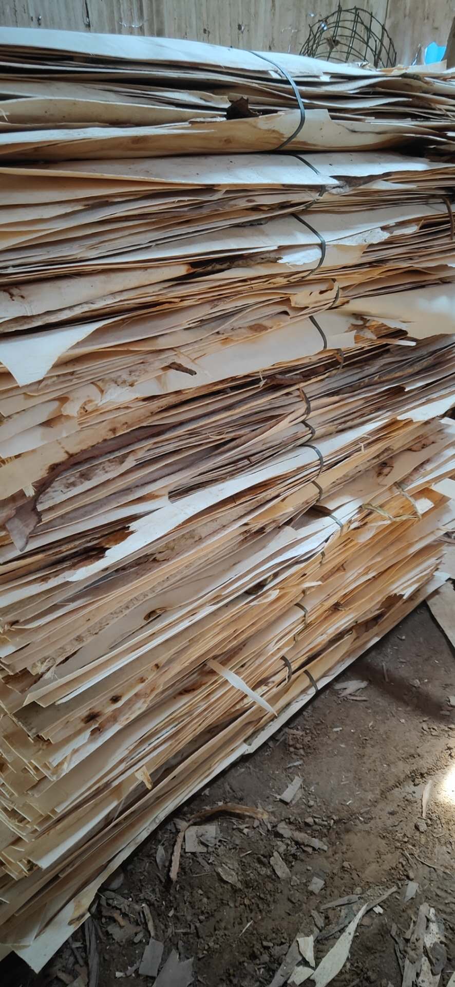 的詳細(xì)介紹