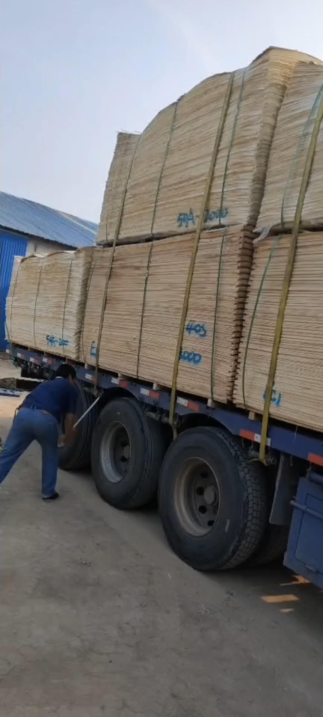  ��Ԕ����B