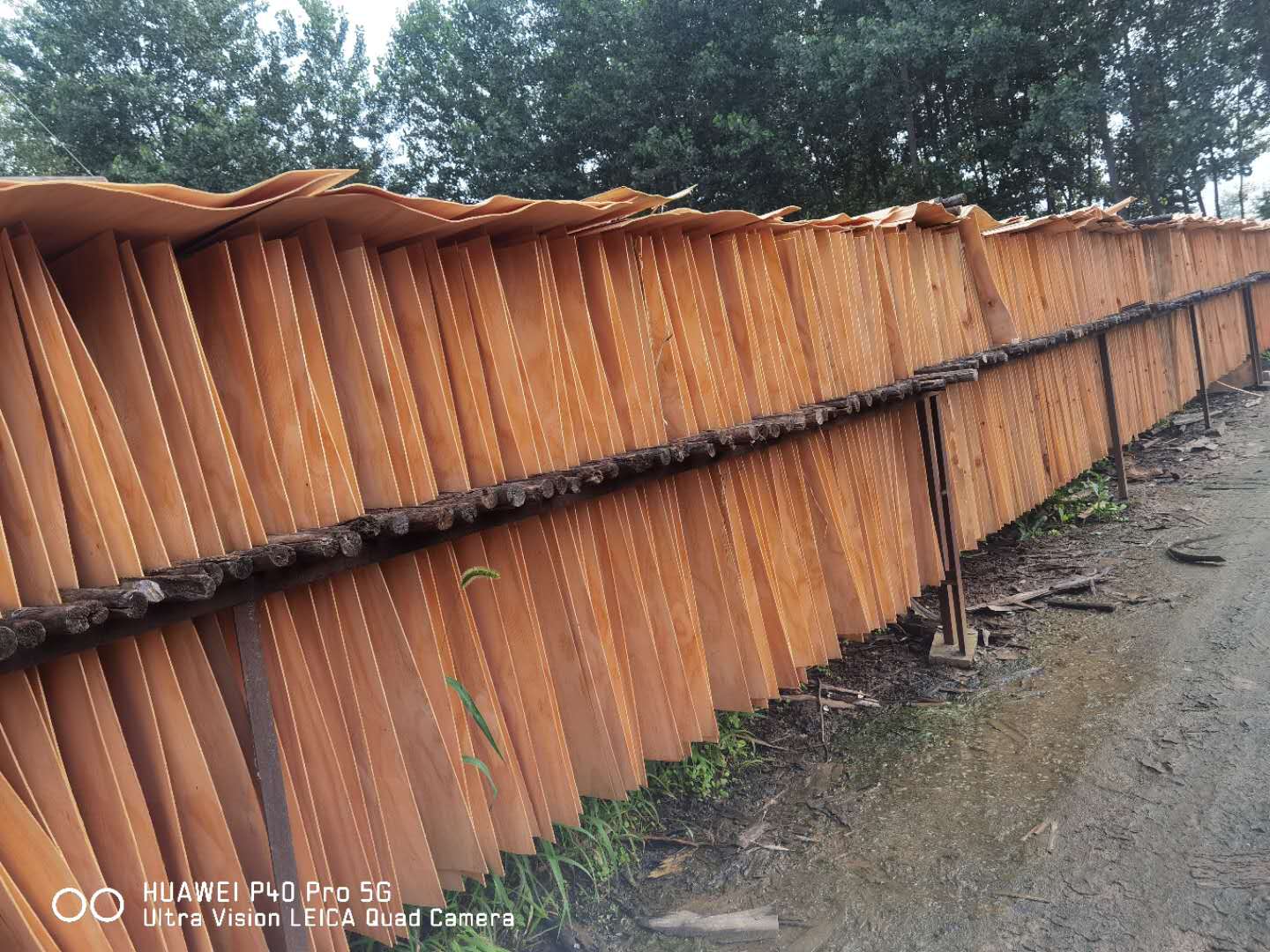  ��Ԕ����B