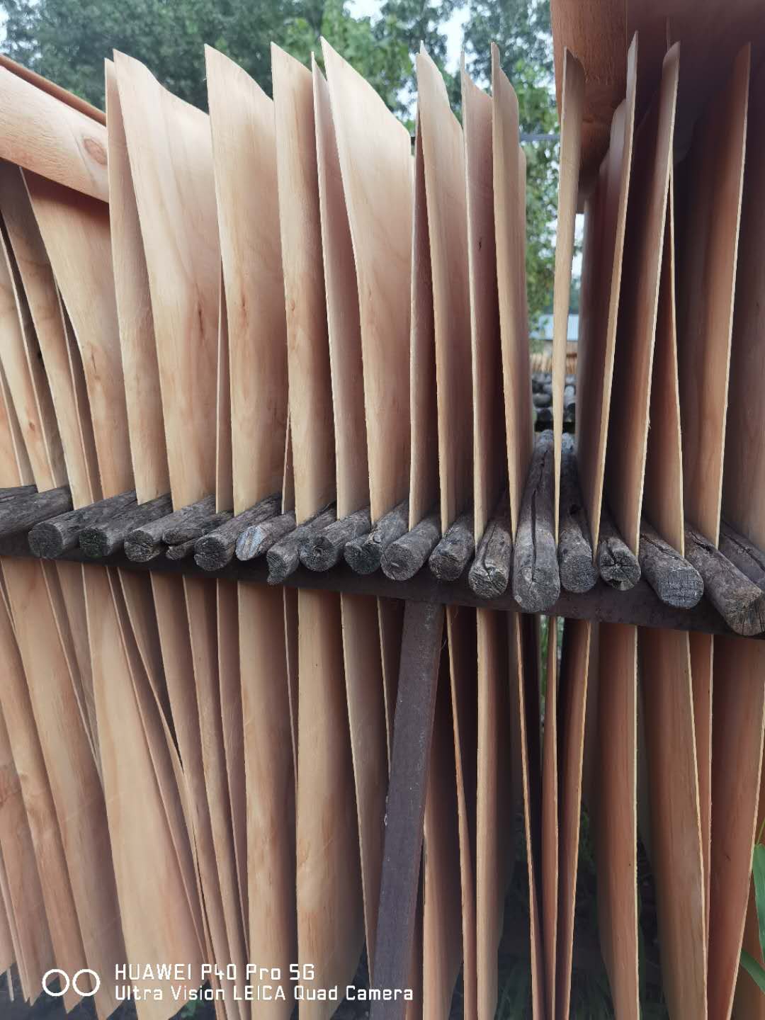  ��Ԕ����B