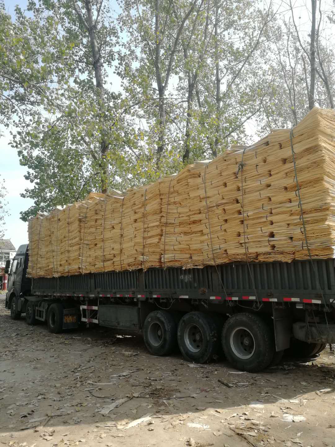  ��Ԕ����B