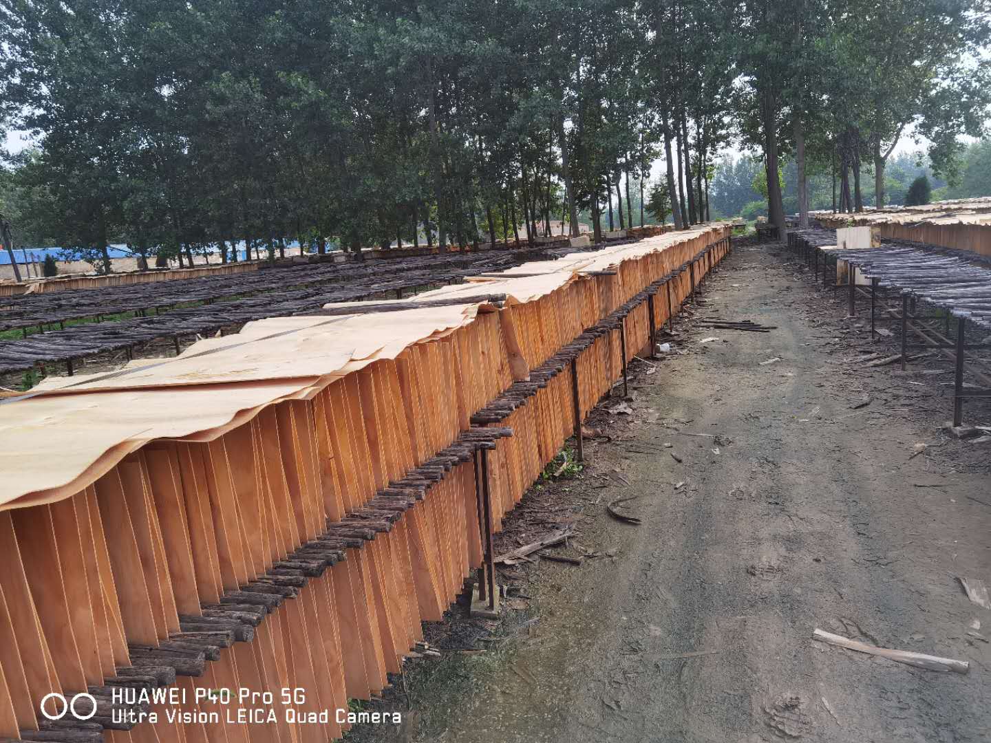  ��Ԕ����B