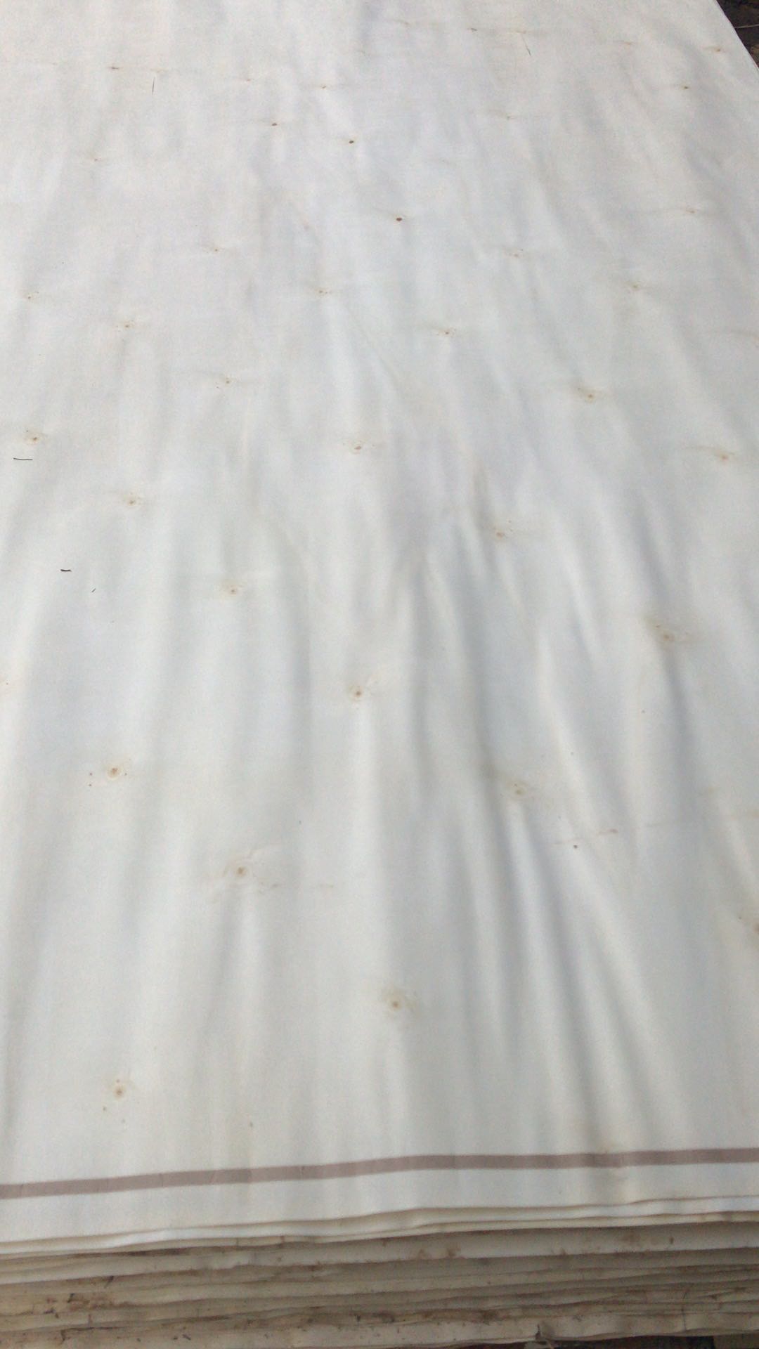  ��Ԕ��(x��)��B