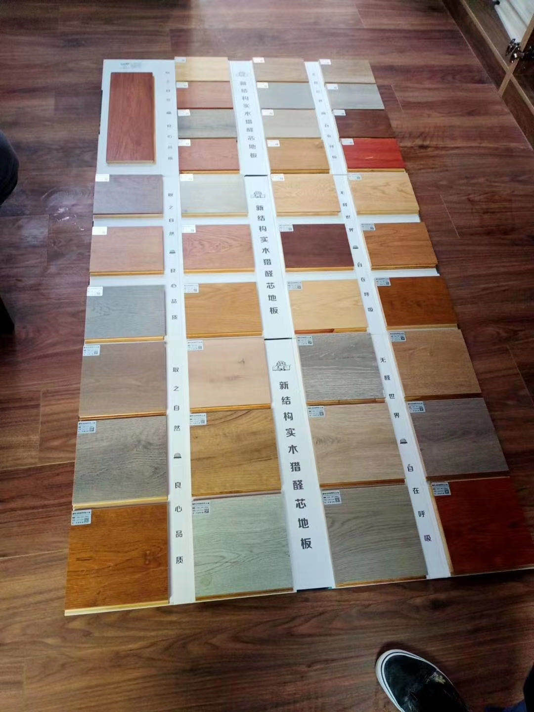  ��Ԕ��(x��)��B