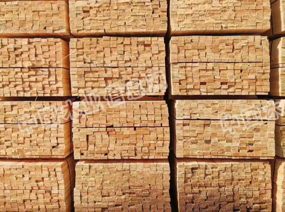  ��Ԕ��(x��)��B