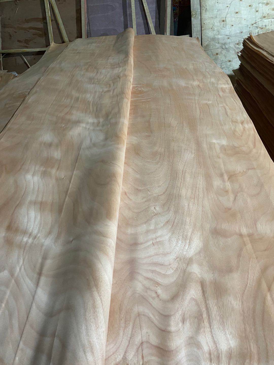  ��Ԕ��(x��)��B