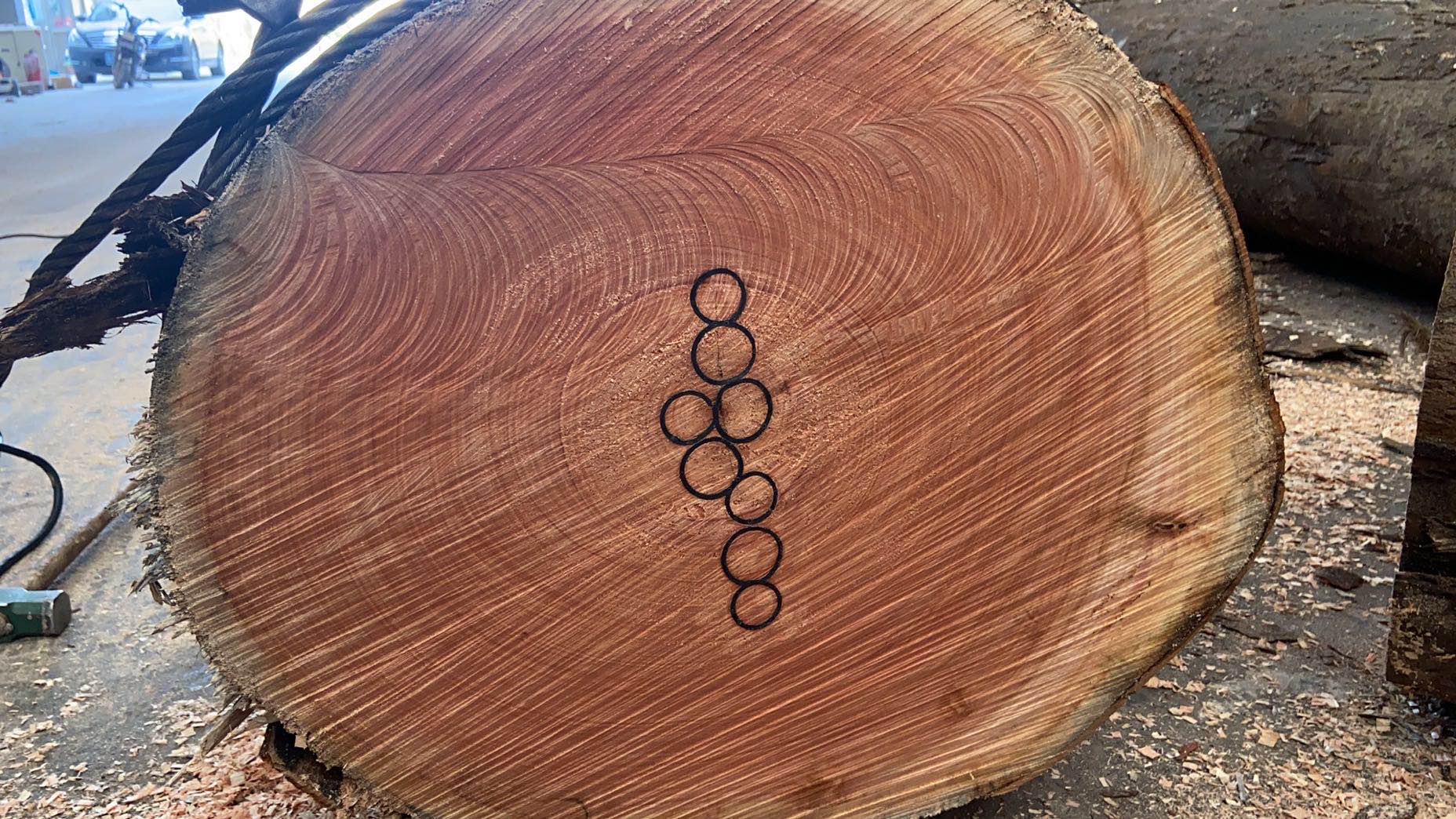  ��Ԕ��(x��)��B