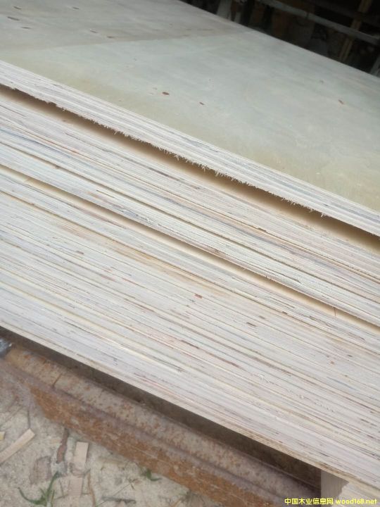 的詳細(xì)介紹