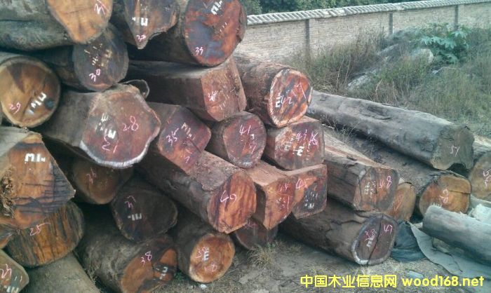 �������ϓ�������կ��Խ���^�m(x��)���P(gu��n)����t��֦ԭ�����Ĵ��M