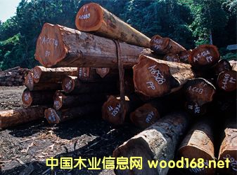 ���u���Ј����Ĳ��㣬�tľ���ָ��(sh��)�յ�0.71%