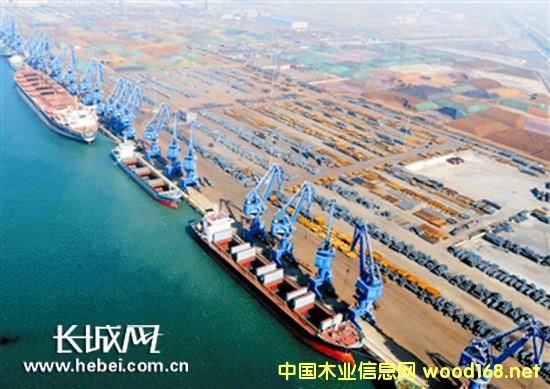 ������ľ�Įa(ch��n)�I(y��)ӭ���˿�Խʽ�l(f��)չ�������C