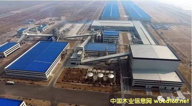 ����ľ�I(y��)���B(t��i)�a(ch��n)�I(y��)�@