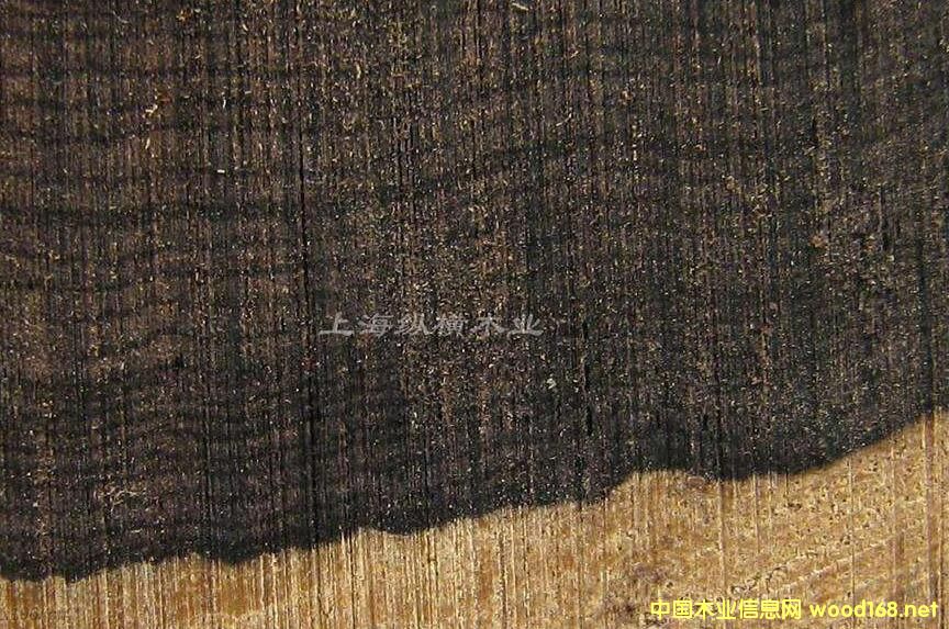 �|�Ǻ��S̴--ľ�ļy��