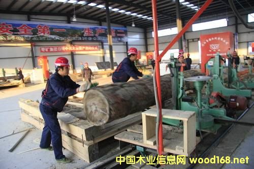 ȫ��ľ�Įa�I(y��)����Ѳҕ֮---��ɽ�^(q��)ľ�Įa�I(y��)