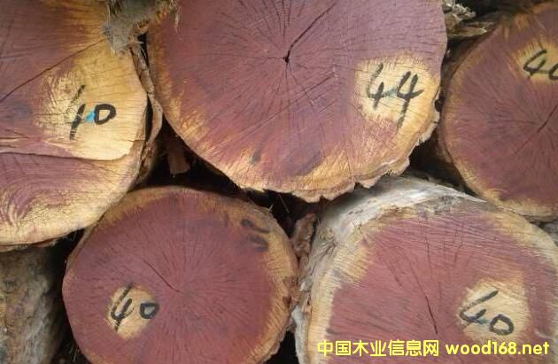 ľ�İٿƣ��鶼��˹�һ���ľ�ͷ����e�һ���ľ�ą^(q��)�e